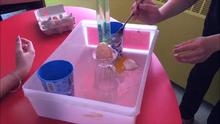 Science Experiment by Emma and Jess